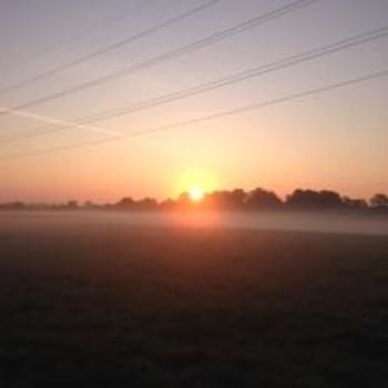The sunrise over the field that Jo did her sponsored walk around